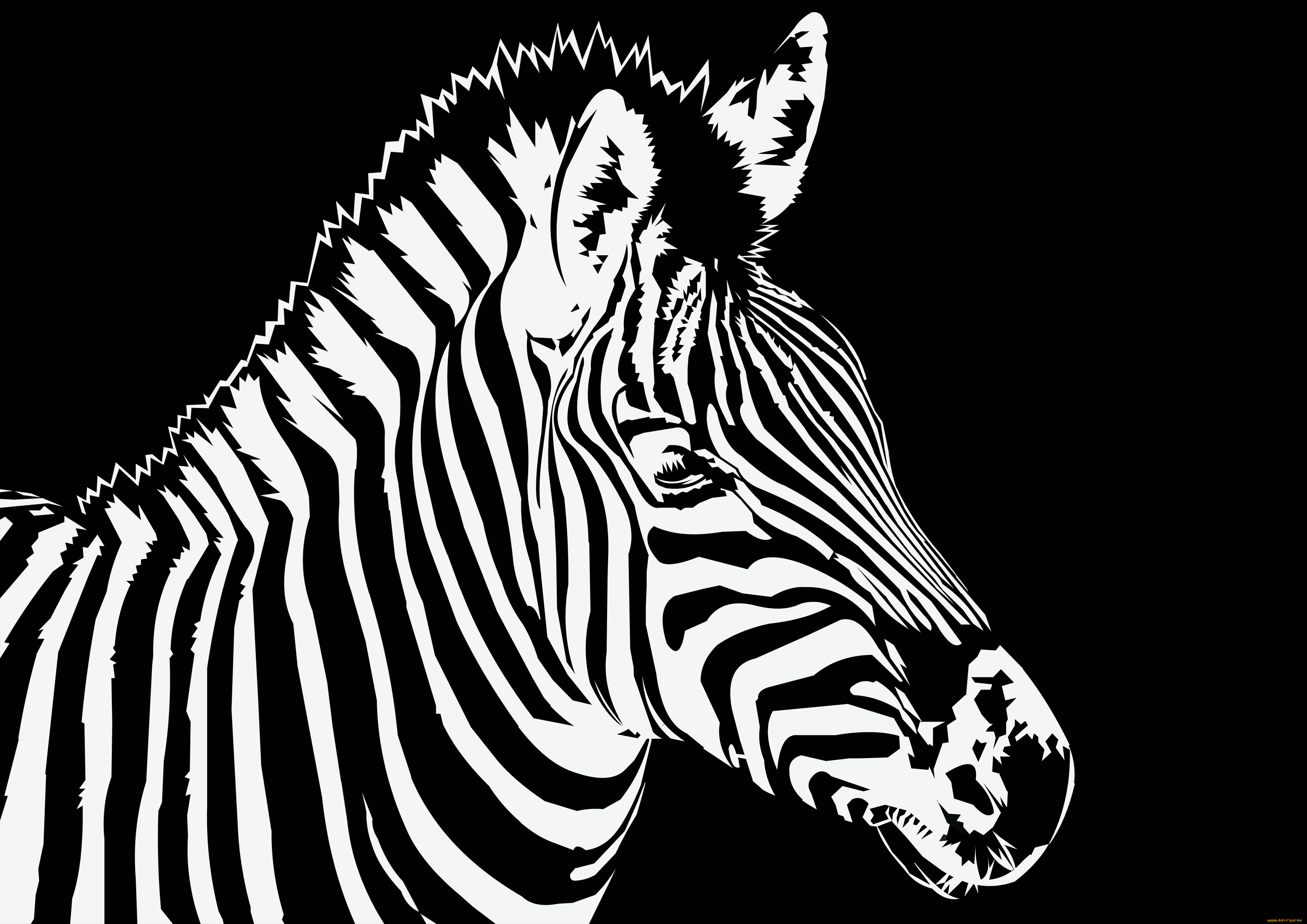  ,  , animals, 